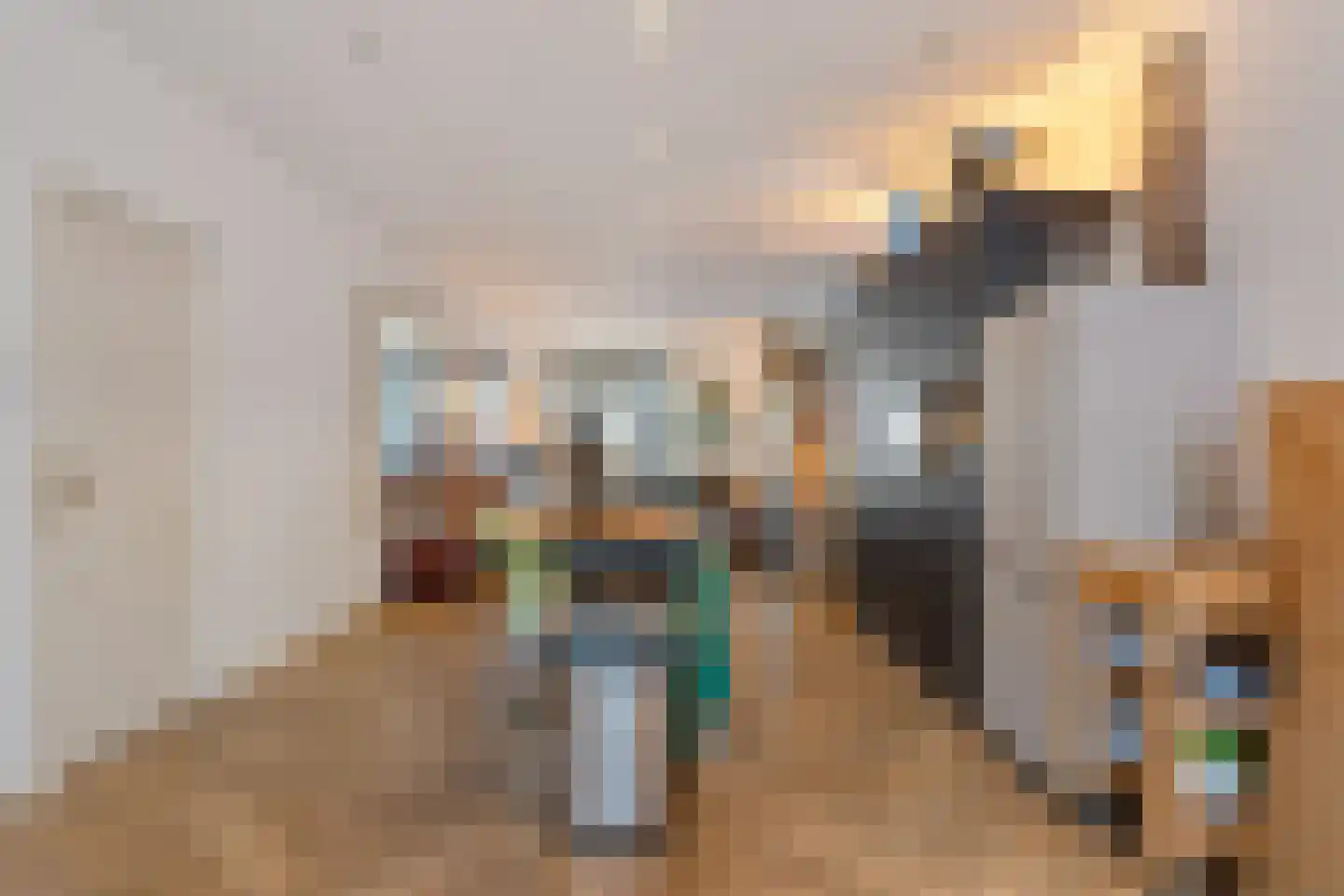 Willem de Zwijgerlaan 68 Den Haag thumbnail 16