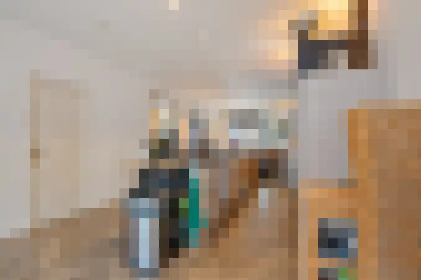Willem de Zwijgerlaan 68 Den Haag thumbnail 17