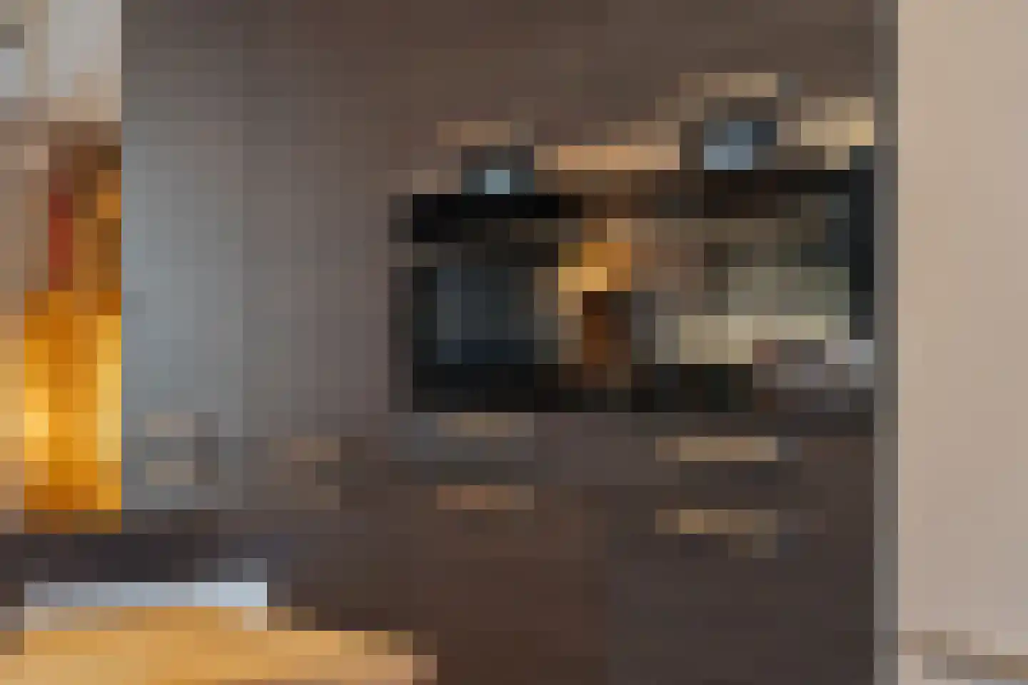 Willem de Zwijgerlaan 68 Den Haag thumbnail 18