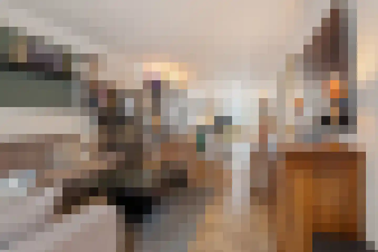 Willem de Zwijgerlaan 68 Den Haag thumbnail 20