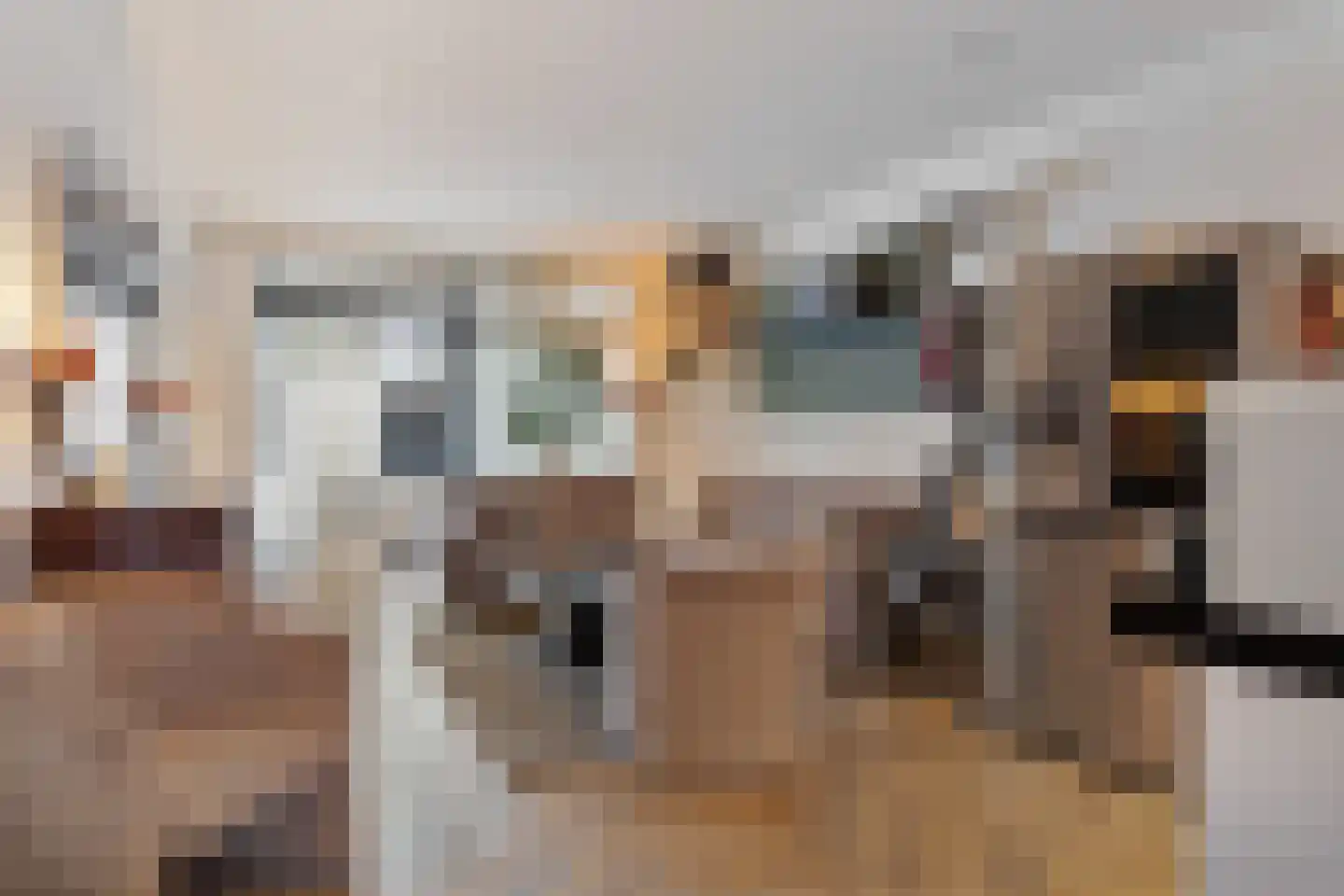 Willem de Zwijgerlaan 68 Den Haag thumbnail 23
