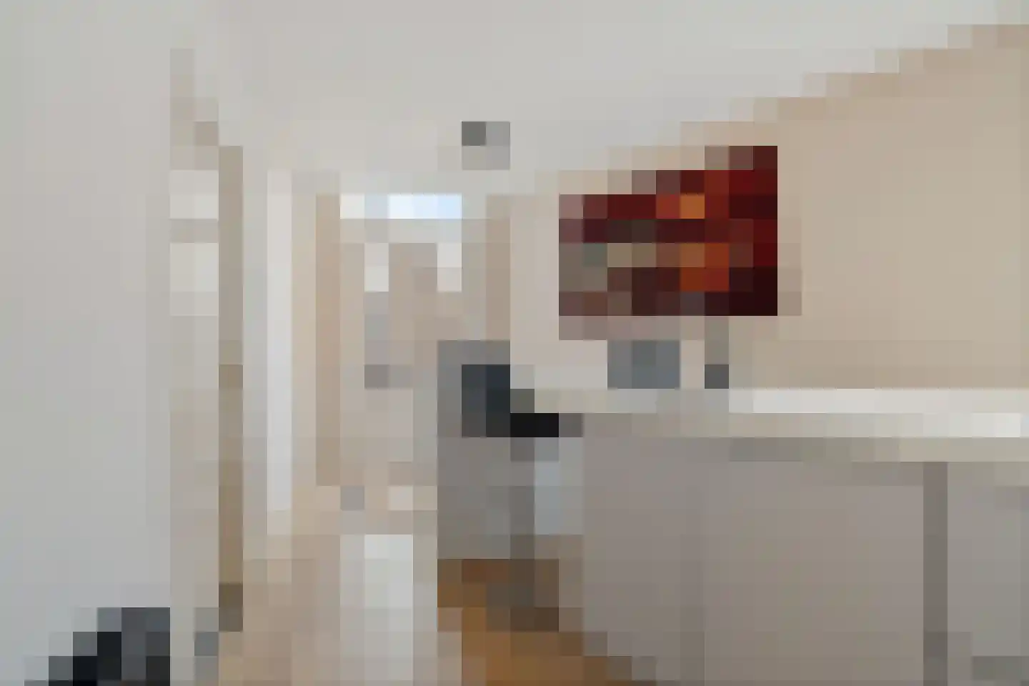 Willem de Zwijgerlaan 68 Den Haag thumbnail 38