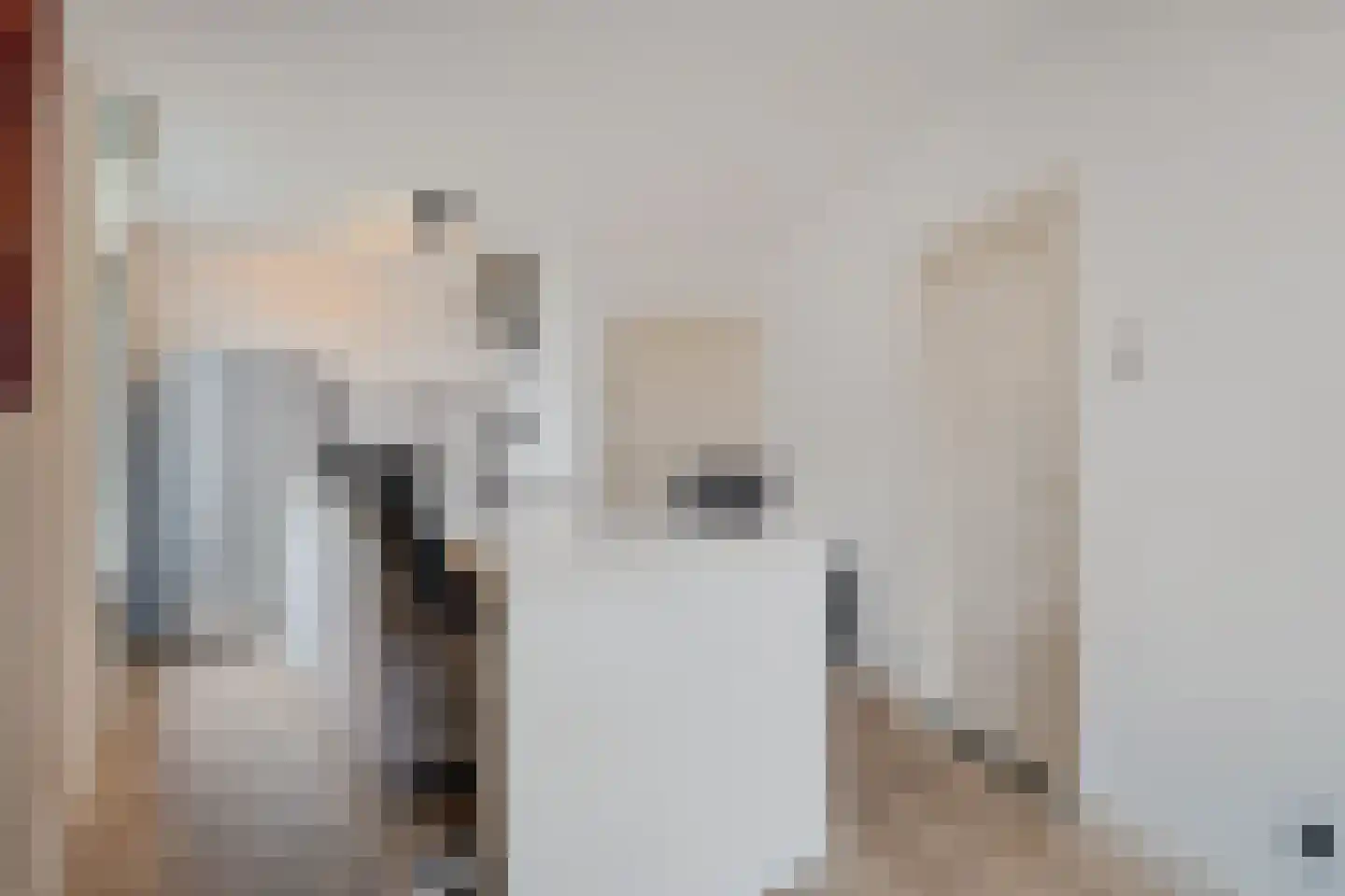 Willem de Zwijgerlaan 68 Den Haag thumbnail 39
