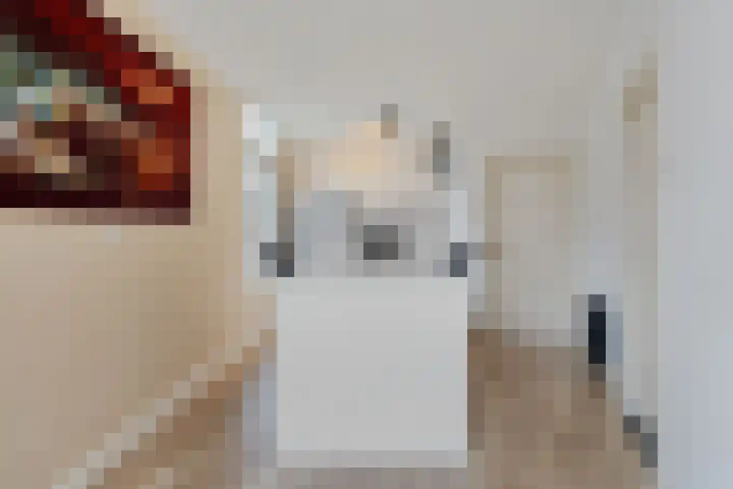 Willem de Zwijgerlaan 68 Den Haag thumbnail 40