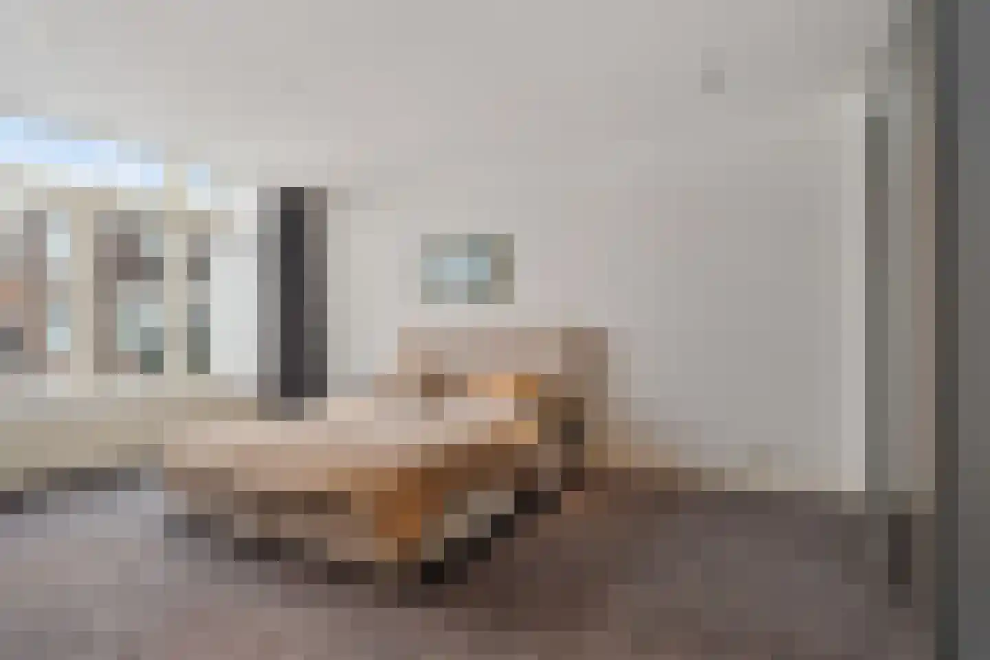 Willem de Zwijgerlaan 68 Den Haag thumbnail 47