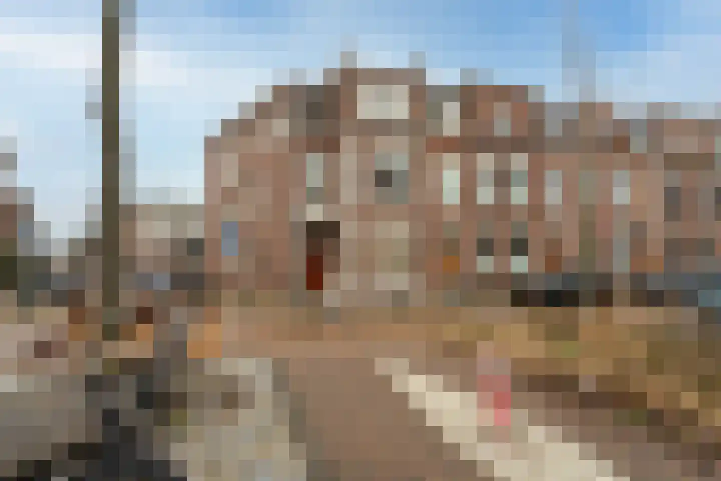 Willem de Zwijgerlaan 68 Den Haag thumbnail 5