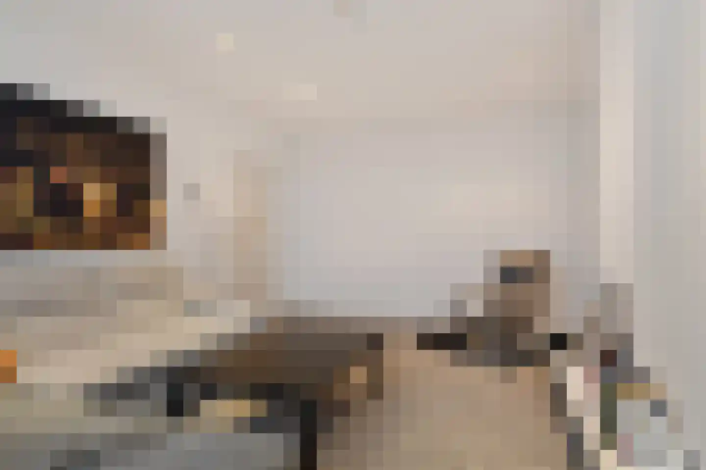 Willem de Zwijgerlaan 68 Den Haag thumbnail 70