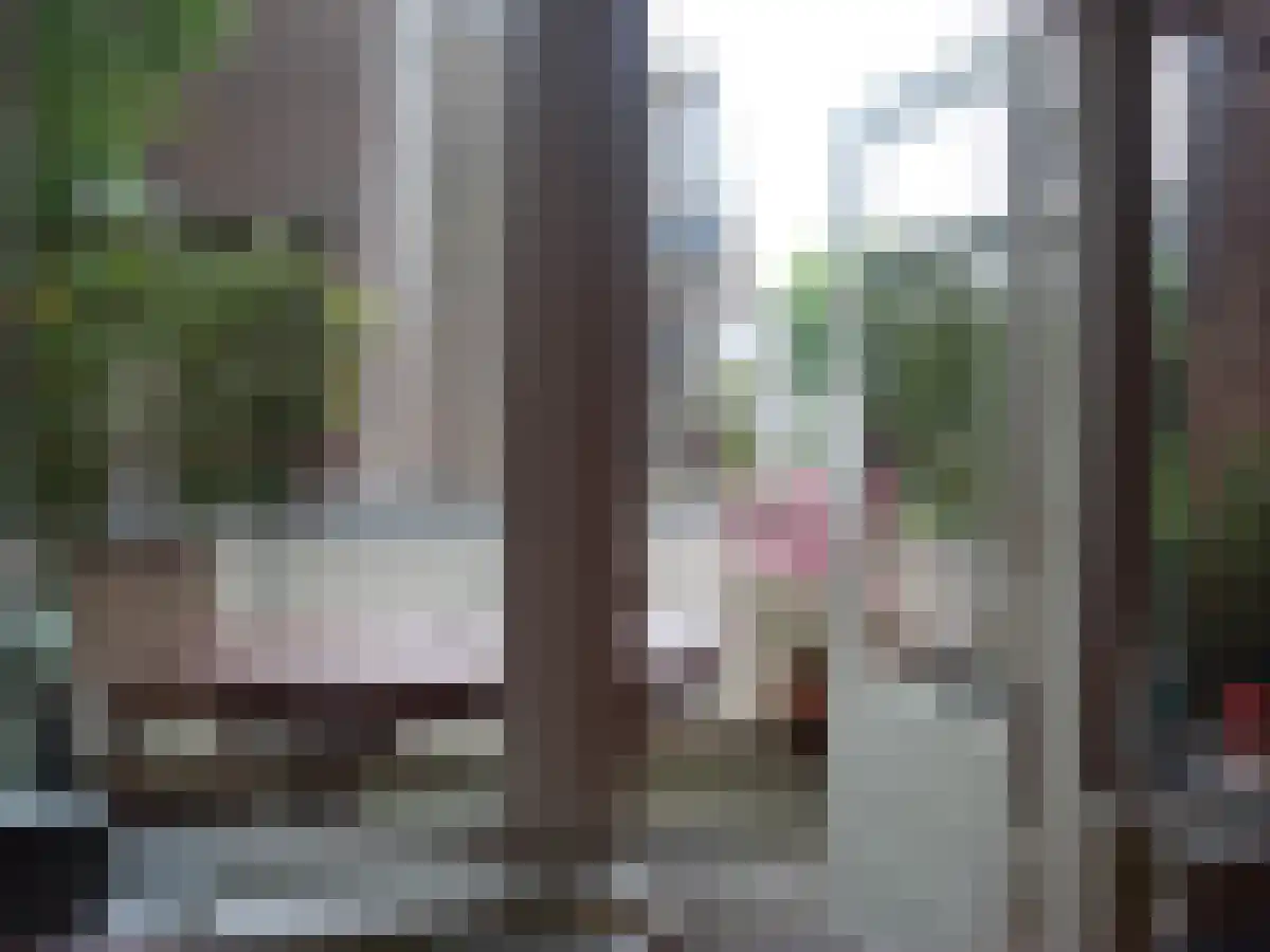 Willem de Zwijgerlaan 69 Den Haag thumbnail 6