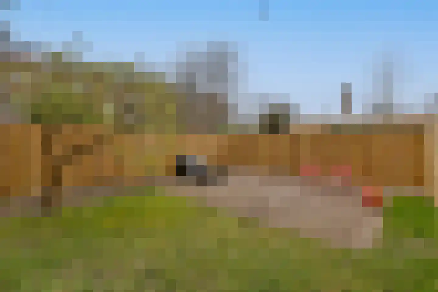Willem de Zwijgerlaan 7 Alphen aan den Rijn thumbnail 32