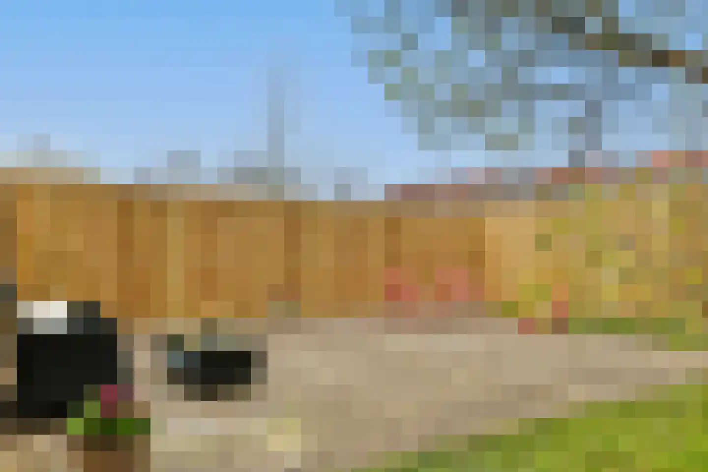 Willem de Zwijgerlaan 7 Alphen aan den Rijn thumbnail 33
