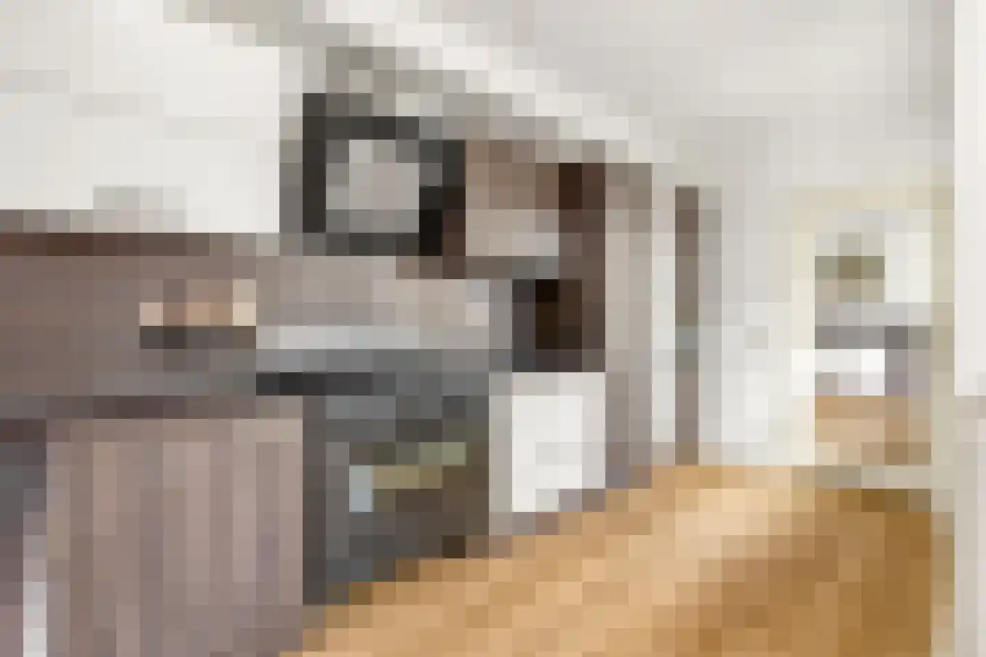 Willem de Zwijgerlaan 7 Maartensdijk thumbnail 11