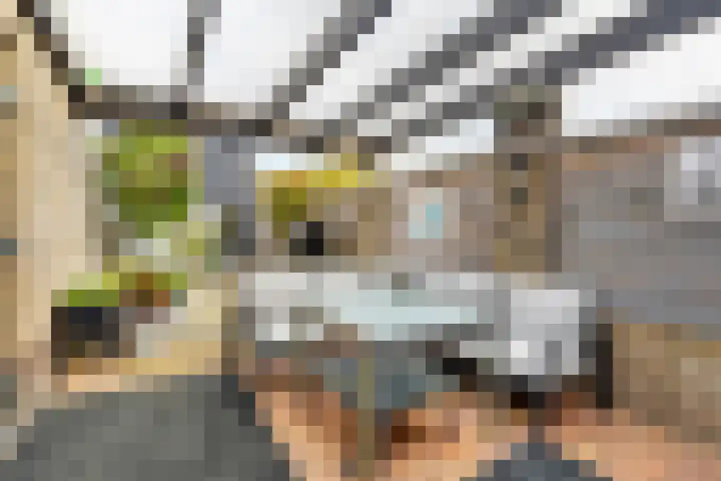 Willem de Zwijgerlaan 7 Maartensdijk thumbnail 23