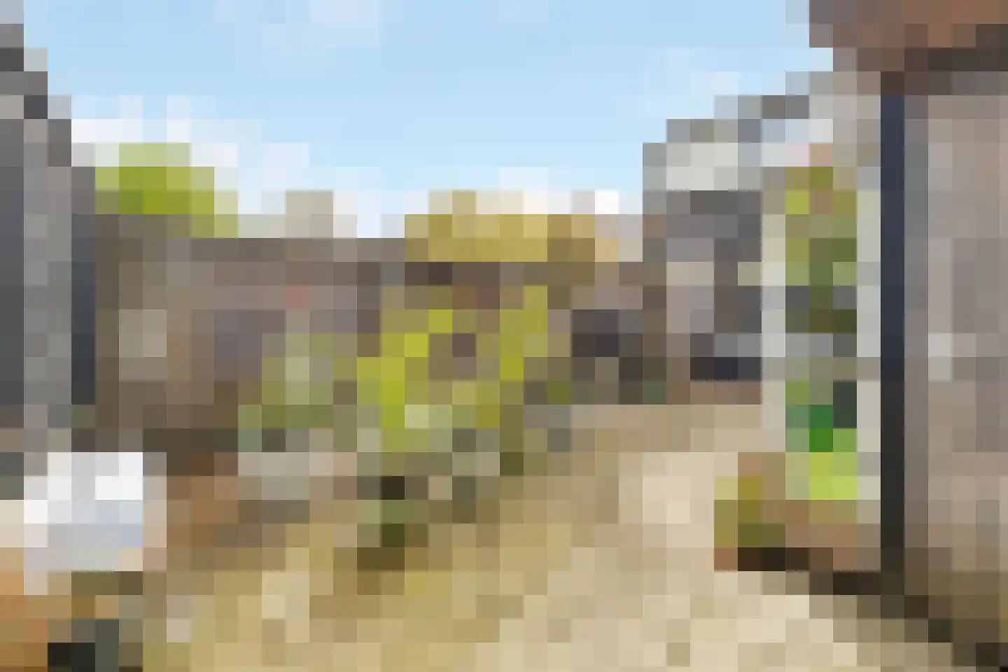 Willem de Zwijgerlaan 7 Maartensdijk thumbnail 25