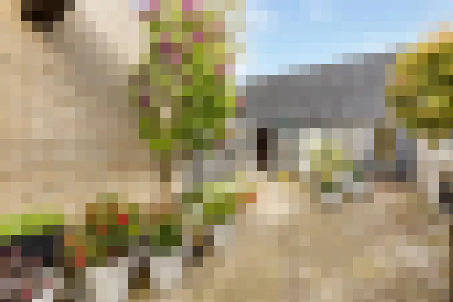 Willem de Zwijgerlaan 7 Maartensdijk thumbnail 27