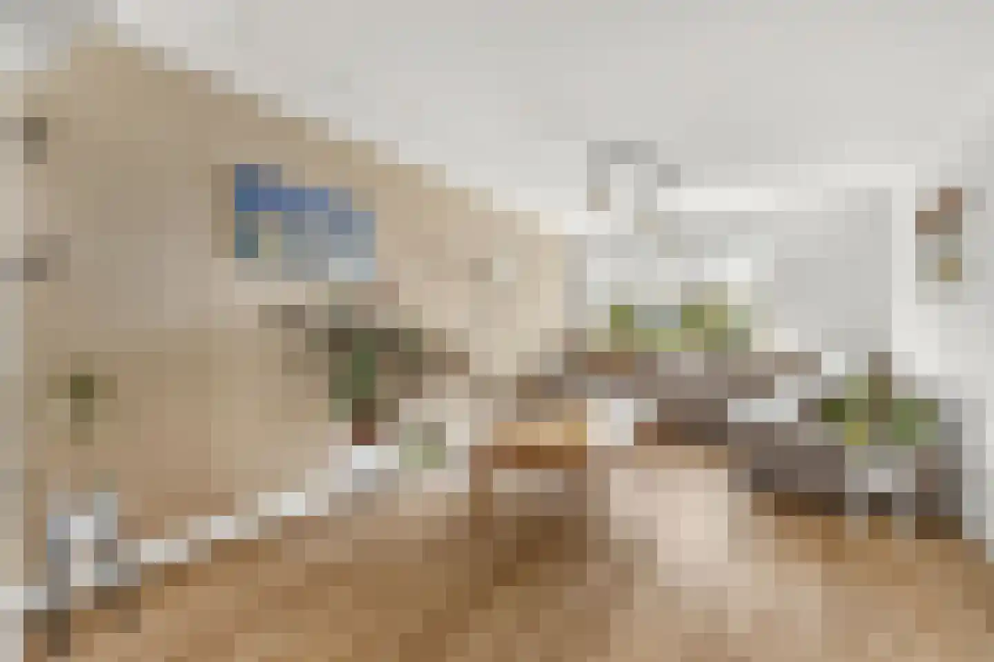 Willem de Zwijgerlaan 7 Maartensdijk thumbnail 7