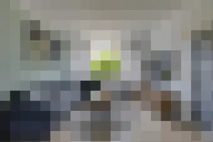 Willem de Zwijgerlaan 70 Zevenaar thumbnail 12
