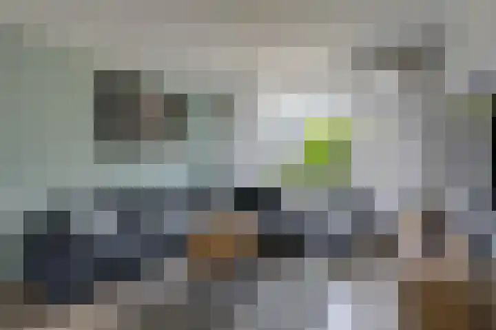 Willem de Zwijgerlaan 70 Zevenaar thumbnail 13