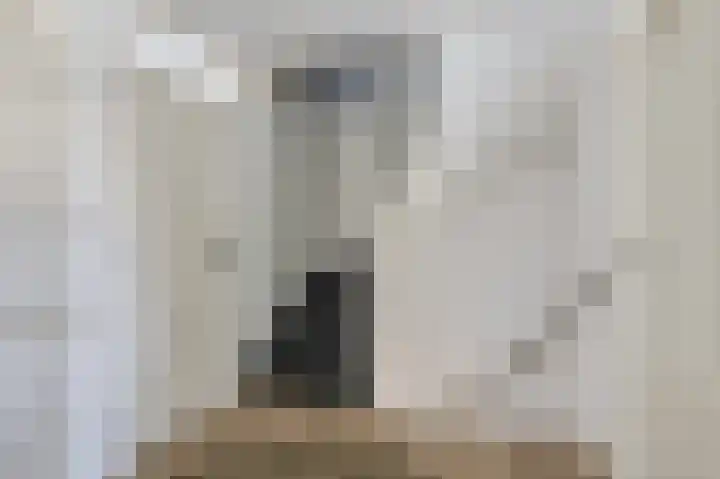 Willem de Zwijgerlaan 70 Zevenaar thumbnail 22