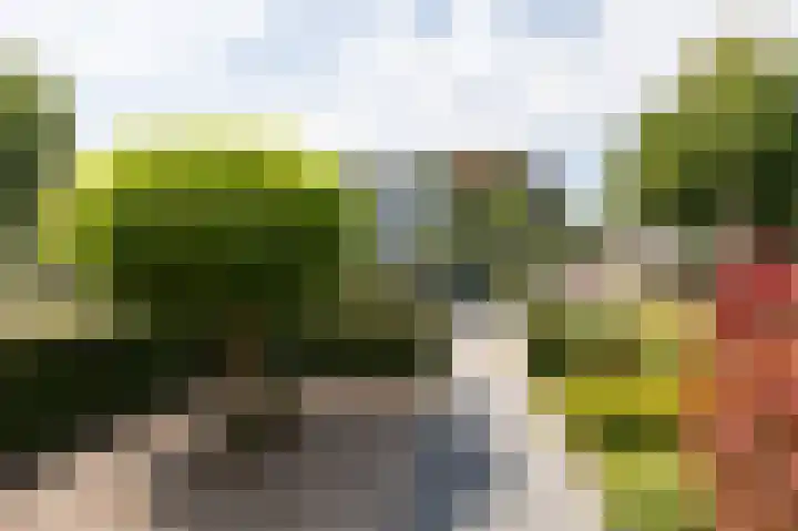 Willem de Zwijgerlaan 70 Zevenaar thumbnail 7
