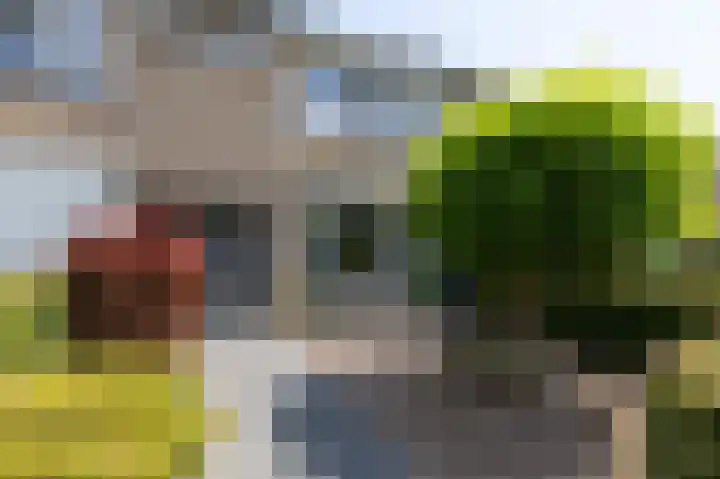 Willem de Zwijgerlaan 70 Zevenaar thumbnail 8