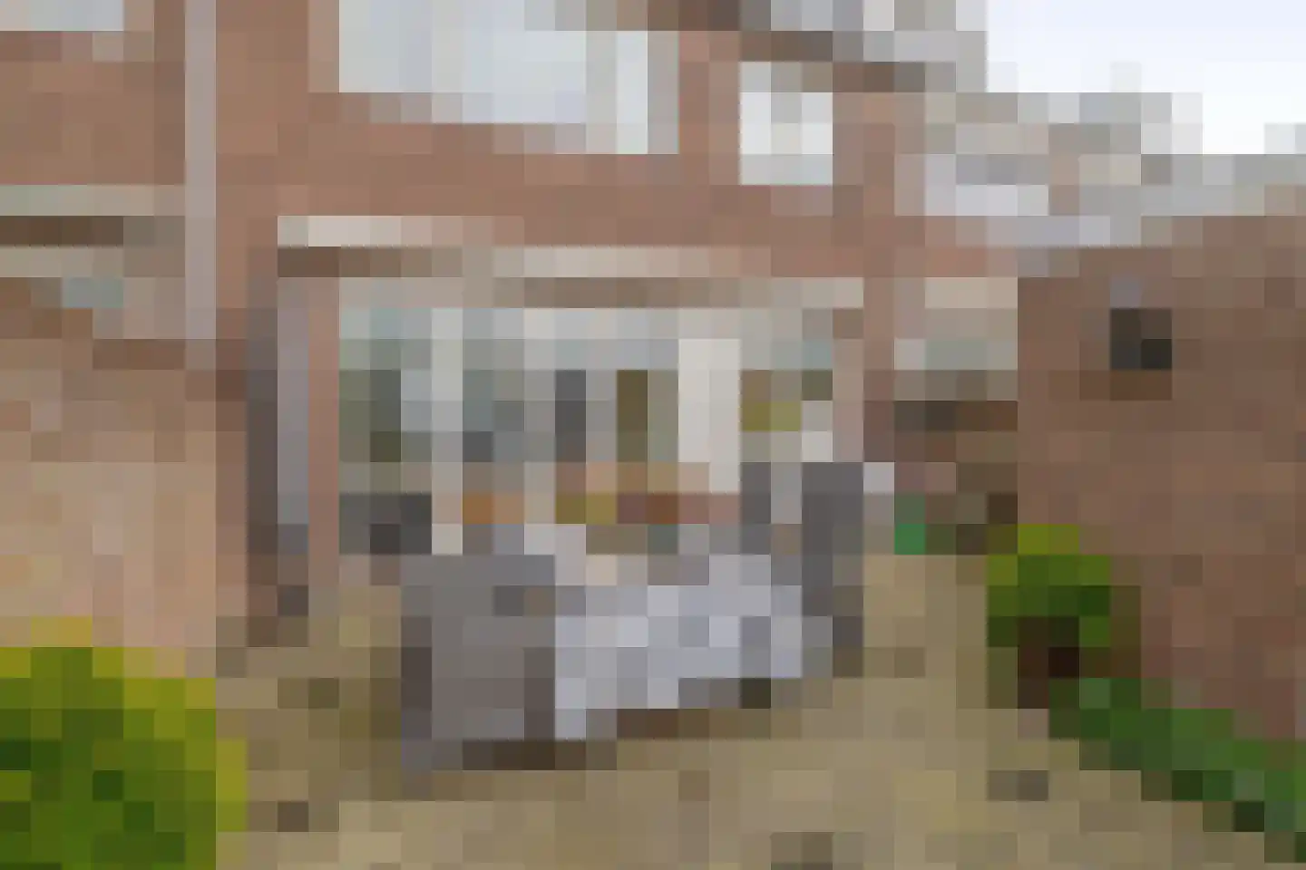 Willem de Zwijgerlaan 72 Waddinxveen thumbnail 15