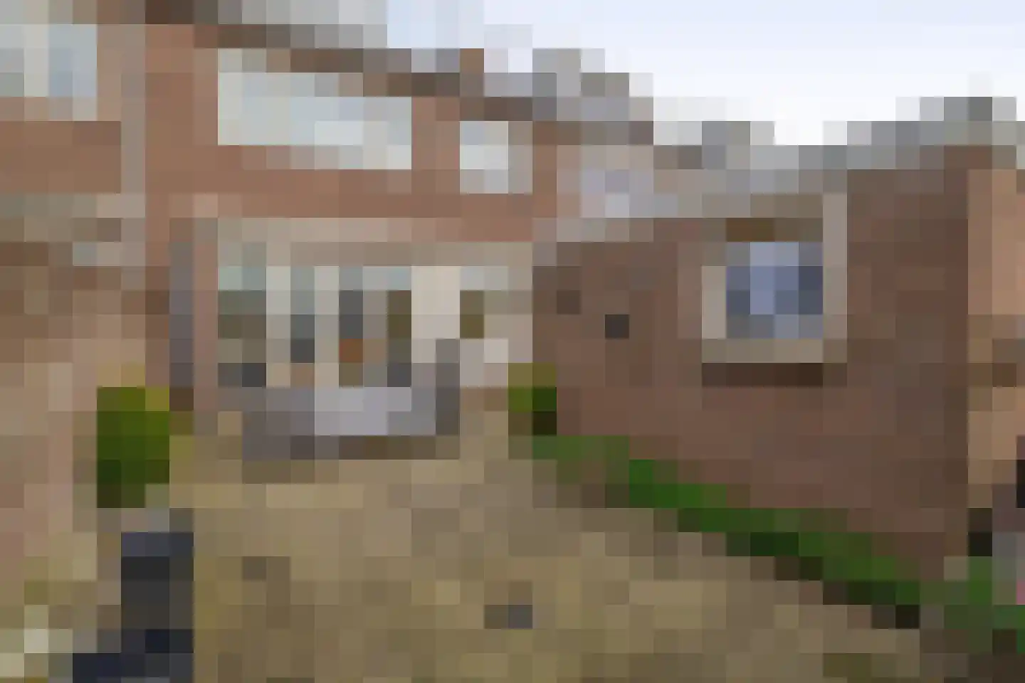 Willem de Zwijgerlaan 72 Waddinxveen thumbnail 19