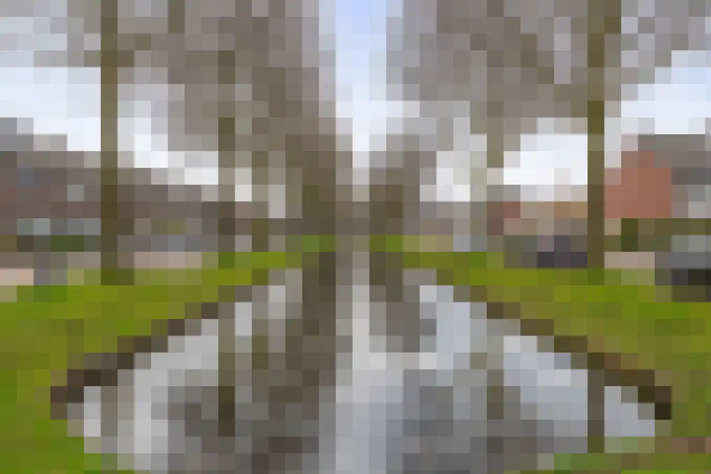 Willem de Zwijgerlaan 72 Waddinxveen thumbnail 27