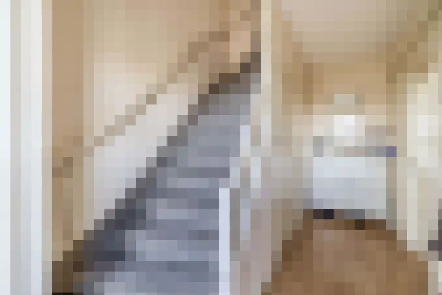 Willem de Zwijgerlaan 72 Waddinxveen thumbnail 8