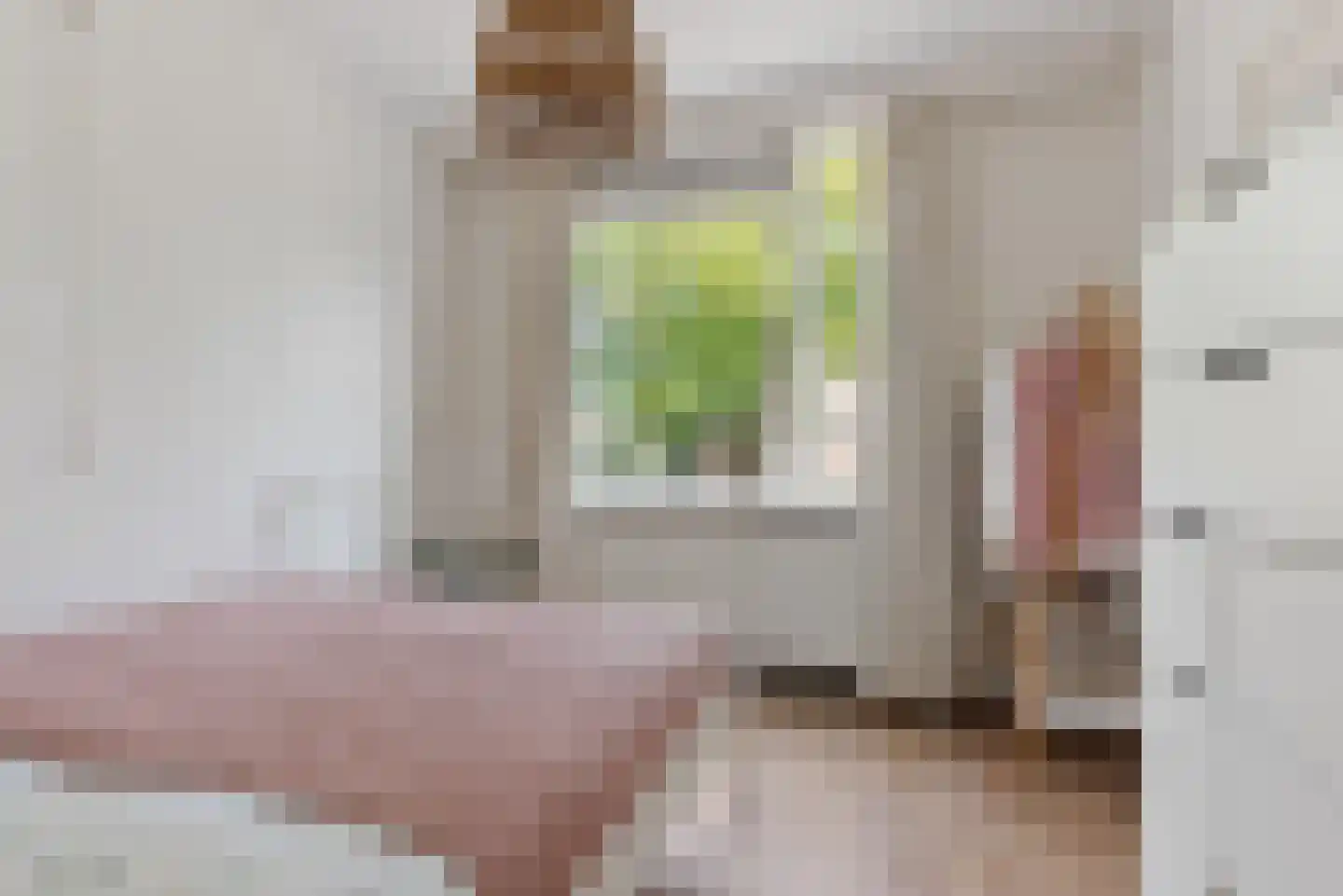 Willem de Zwijgerlaan 74 Alkmaar thumbnail 17