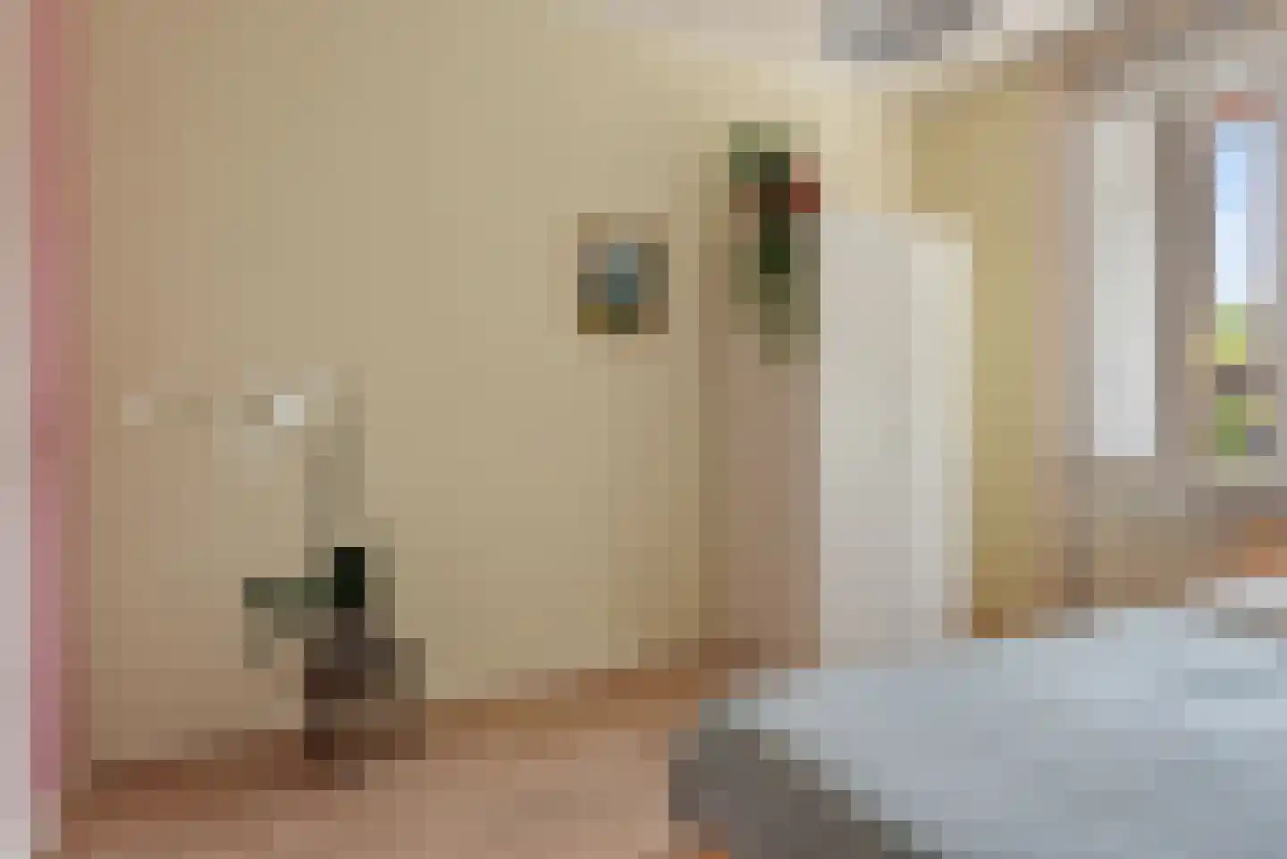 Willem de Zwijgerlaan 74 Alkmaar thumbnail 21