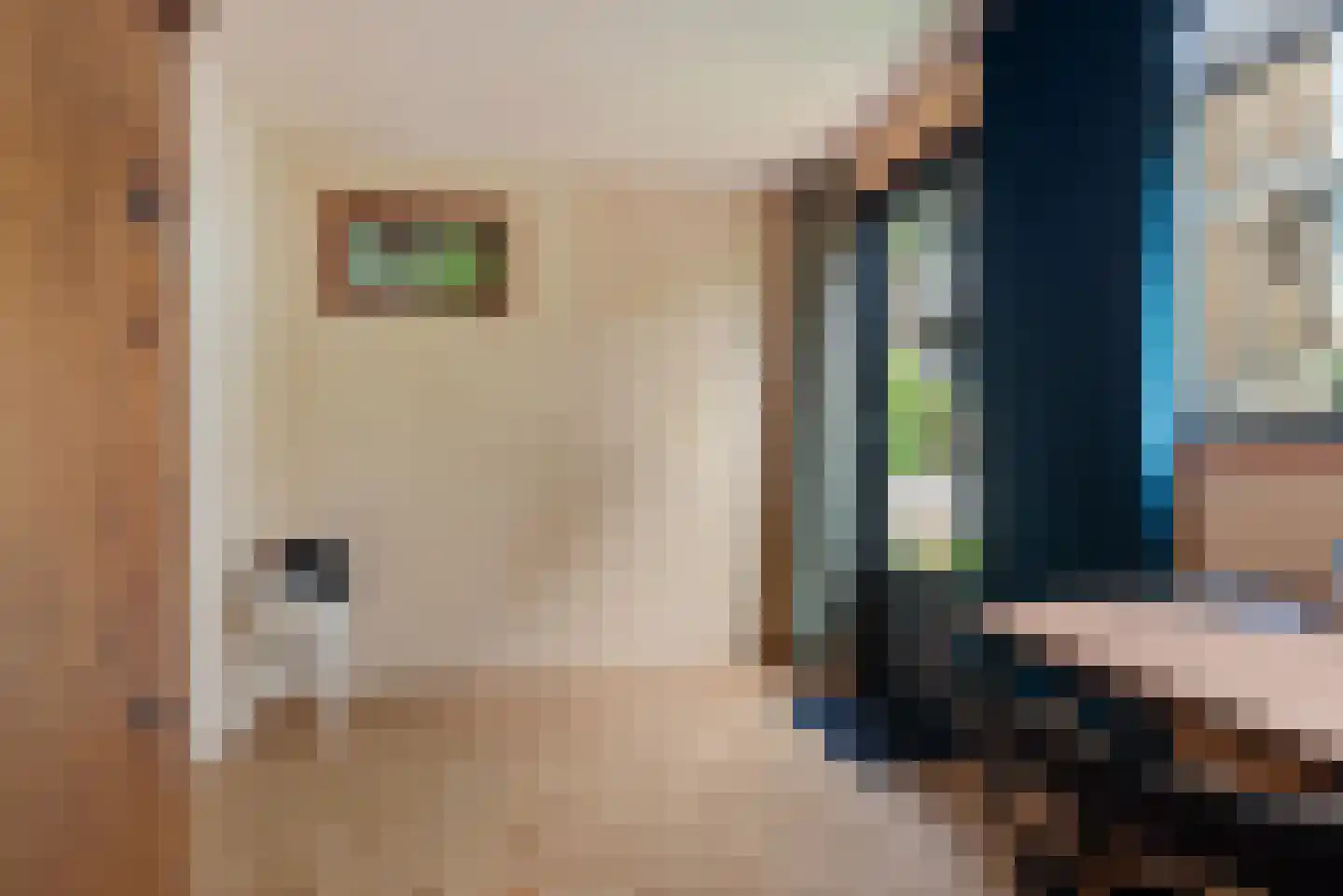 Willem de Zwijgerlaan 74 Alkmaar thumbnail 32
