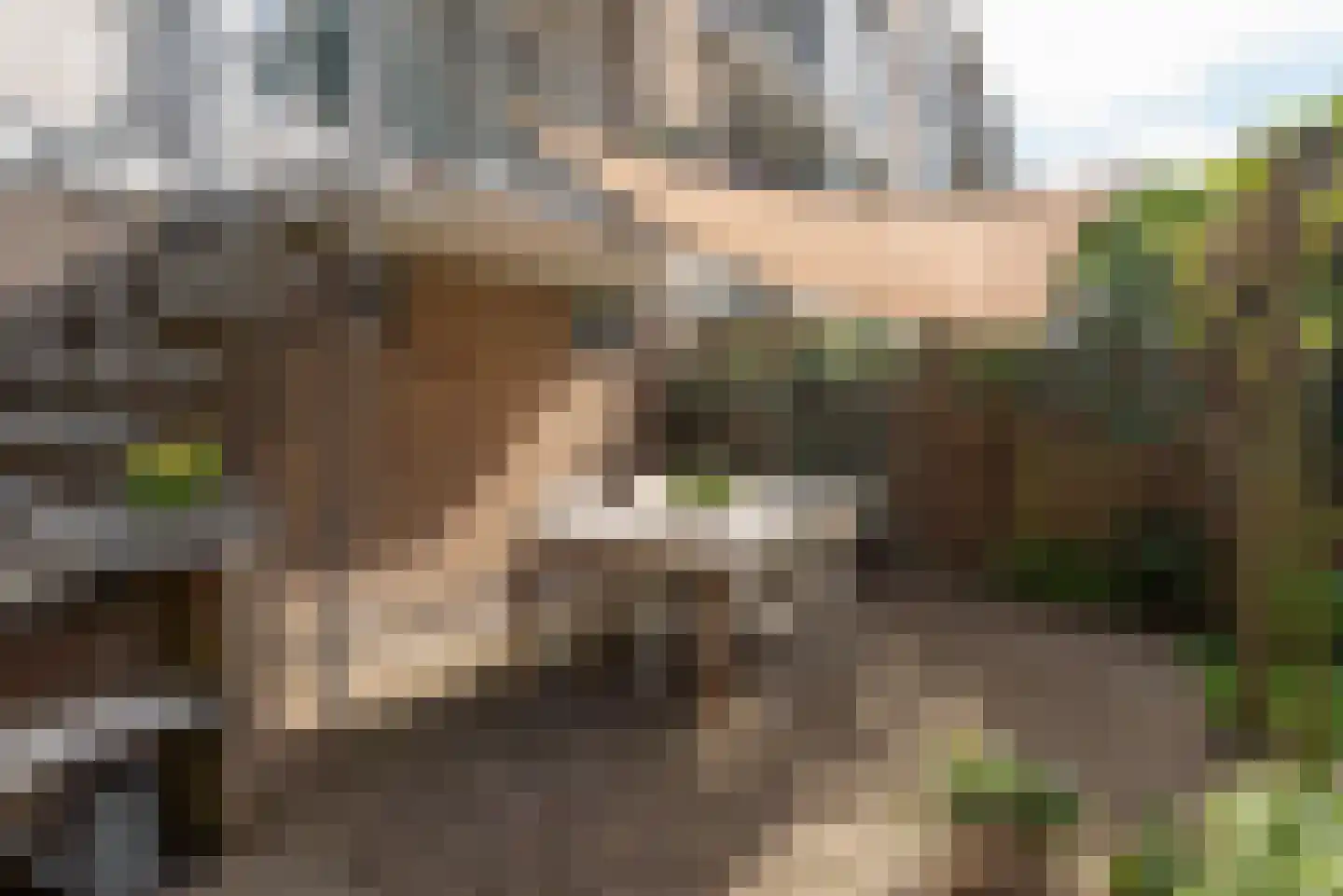 Willem de Zwijgerlaan 74 Alkmaar thumbnail 33