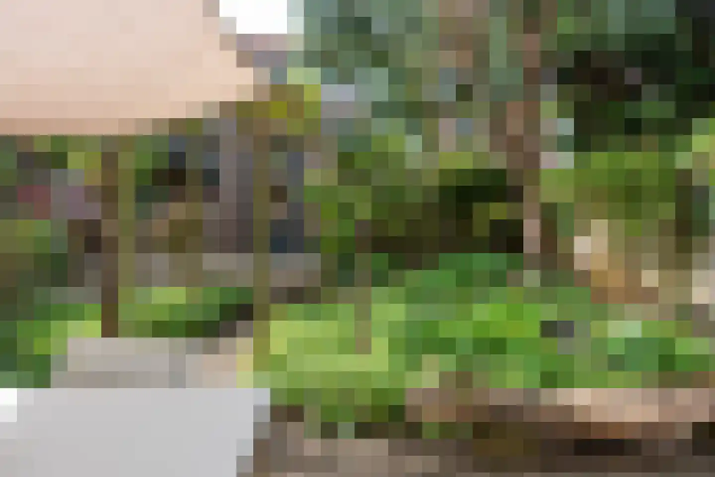 Willem de Zwijgerlaan 74 Alkmaar thumbnail 37