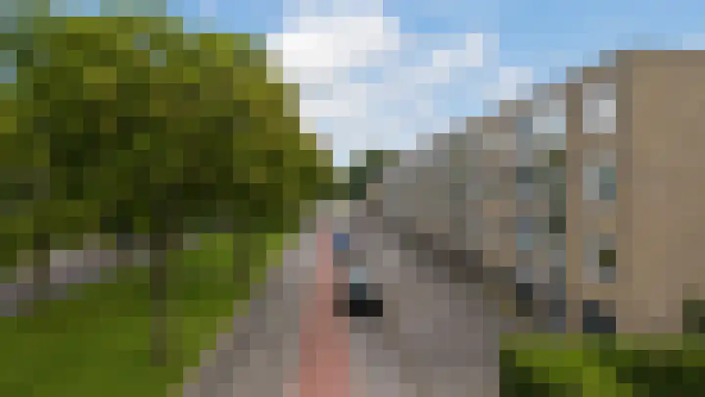 Willem de Zwijgerlaan 74 Alkmaar thumbnail 40