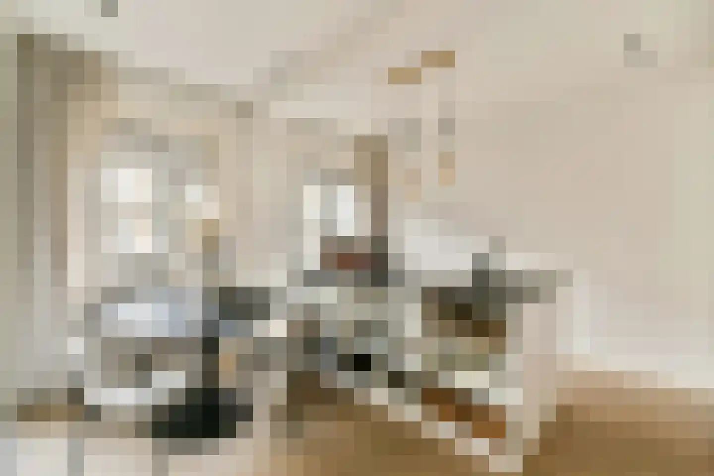 Willem de Zwijgerlaan 76 1 Amsterdam thumbnail 6