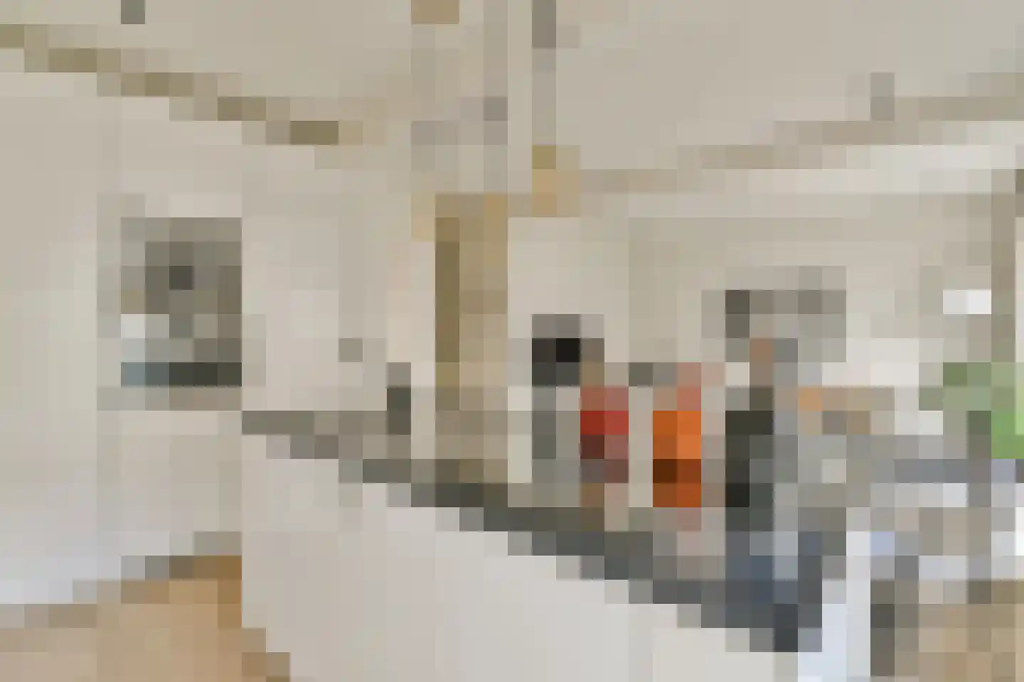 Willem de Zwijgerlaan 76 1 Amsterdam thumbnail 7