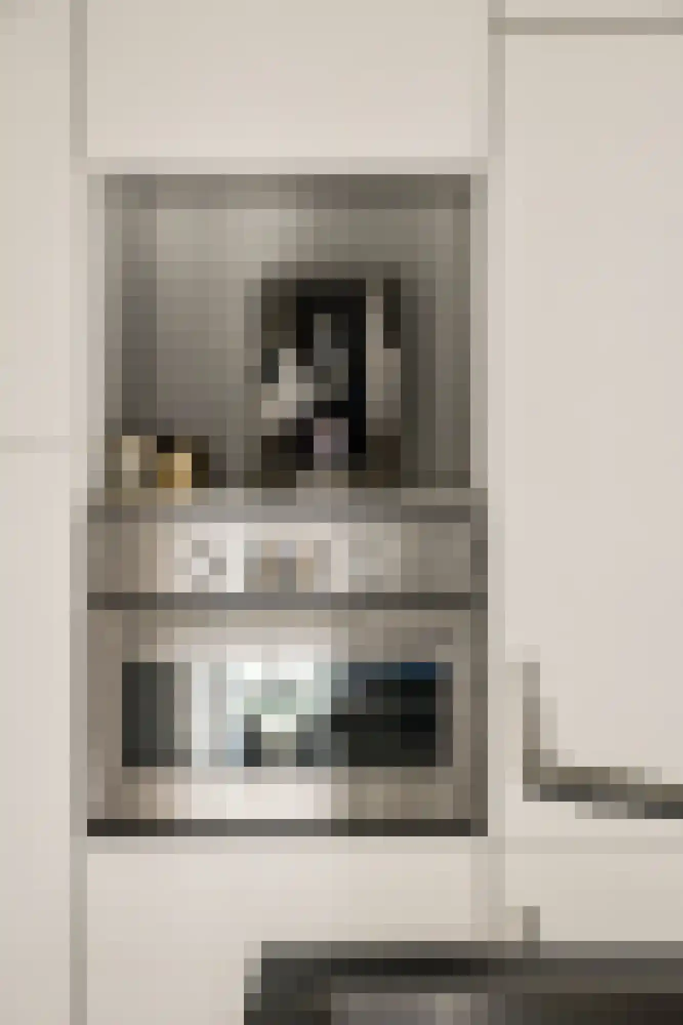Willem de Zwijgerlaan 76 2 Amsterdam thumbnail 9