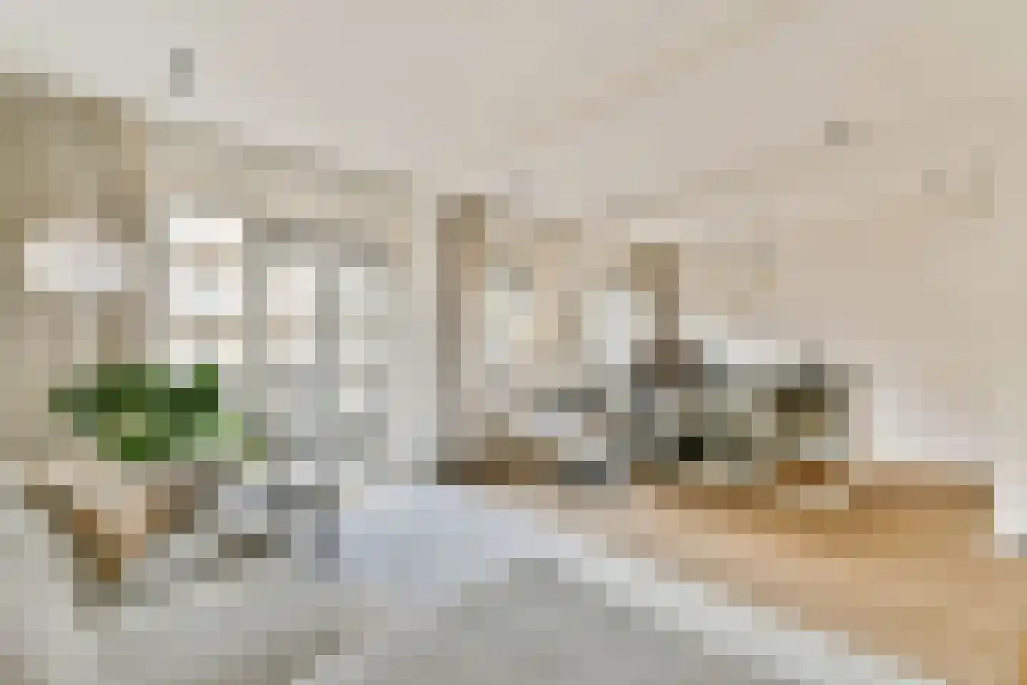 Willem de Zwijgerlaan 76 3 Amsterdam thumbnail 4