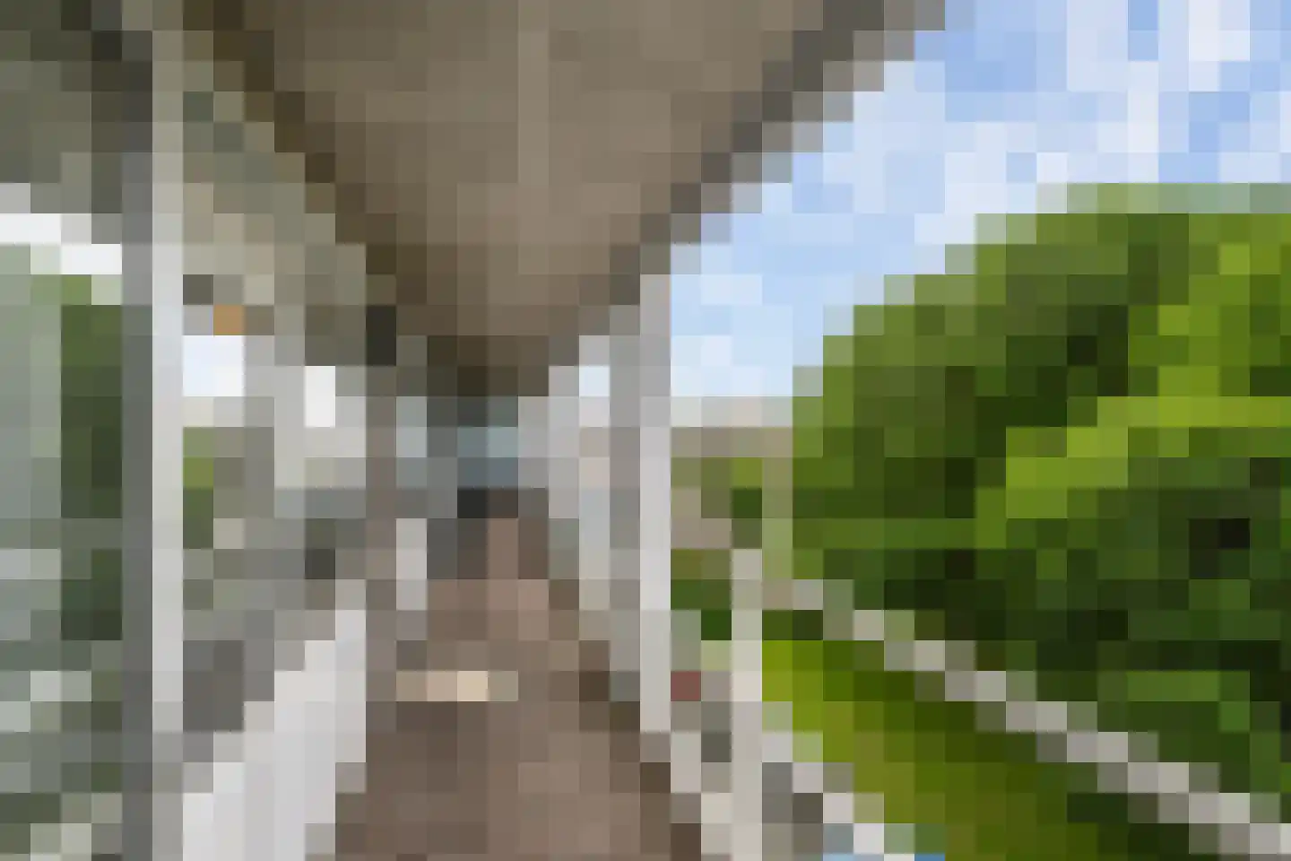 Willem de Zwijgerlaan 77 Schiedam thumbnail 15