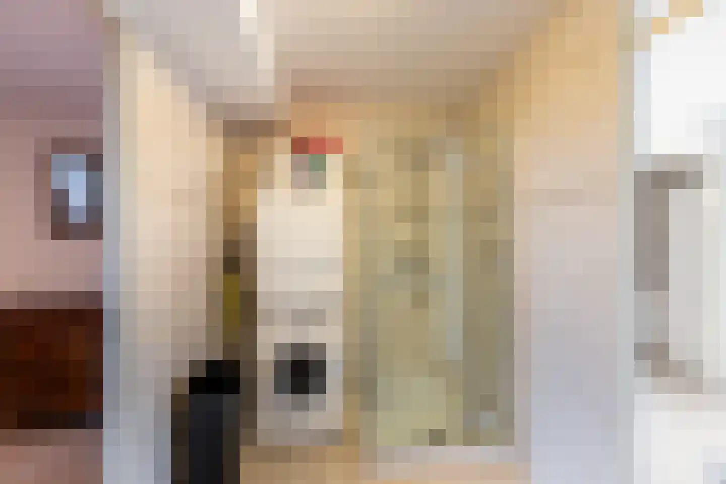 Willem de Zwijgerlaan 77 Schiedam thumbnail 22