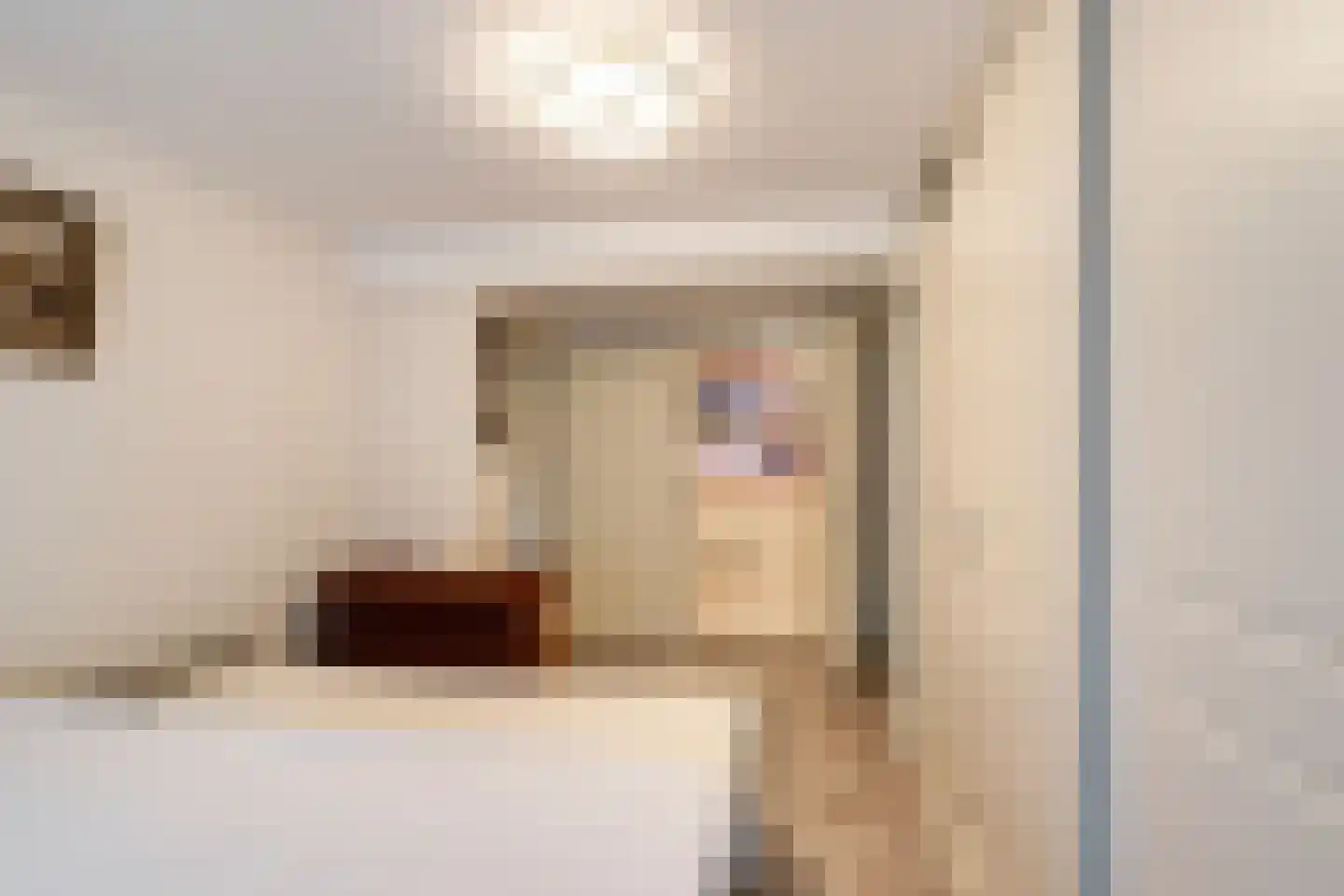 Willem de Zwijgerlaan 77 Schiedam thumbnail 26