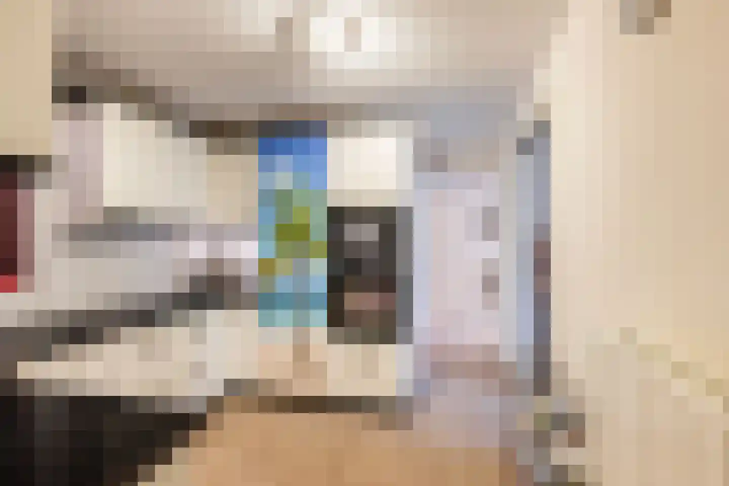 Willem de Zwijgerlaan 77 Schiedam thumbnail 4