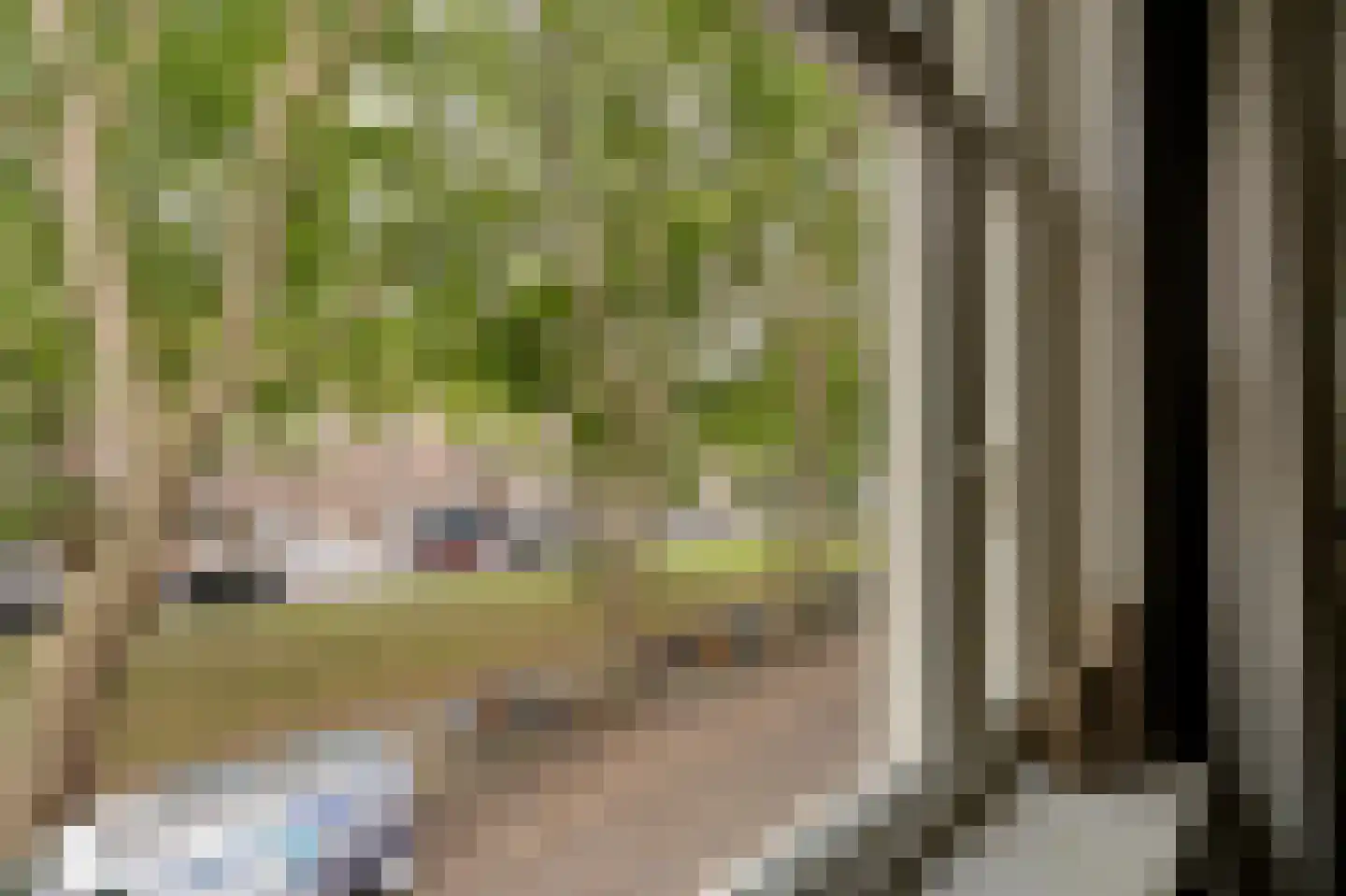 Willem de Zwijgerlaan 78 1 Amsterdam thumbnail 8