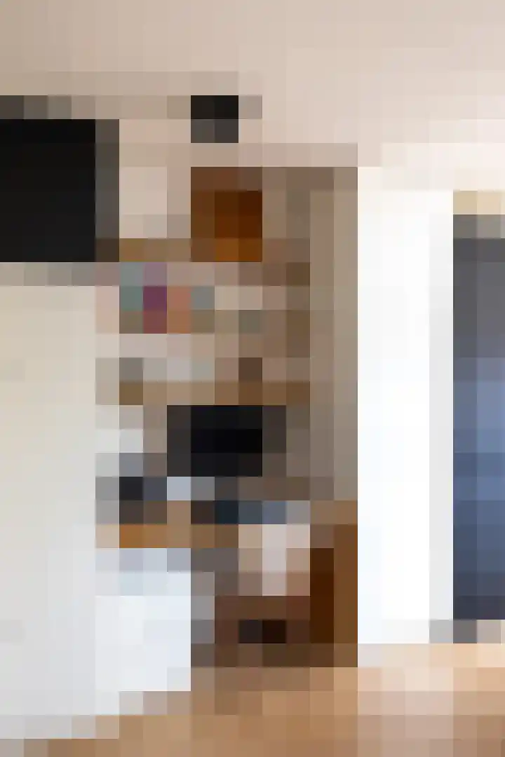 Willem de Zwijgerlaan 78 Castricum thumbnail 12