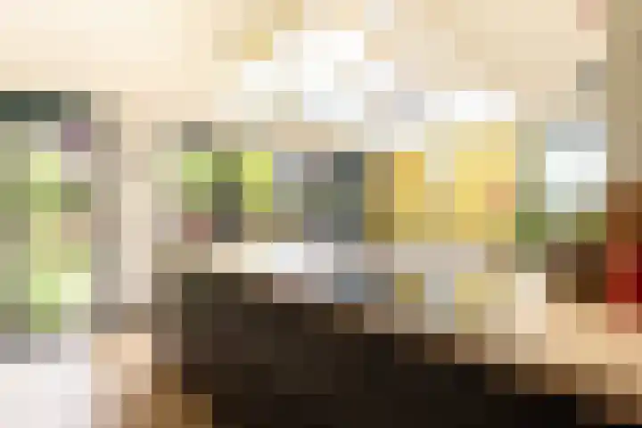 Willem de Zwijgerlaan 78 Castricum thumbnail 16