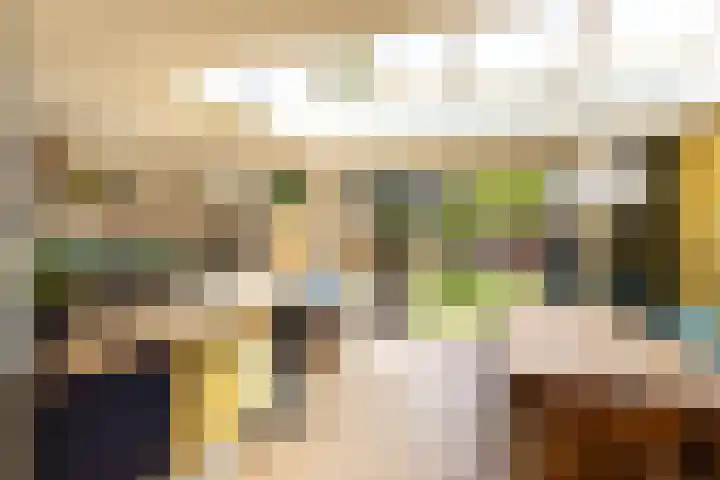 Willem de Zwijgerlaan 78 Castricum thumbnail 17