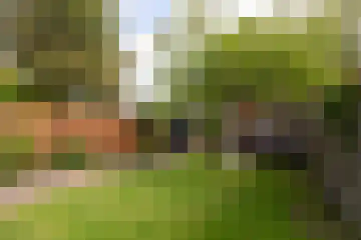 Willem de Zwijgerlaan 78 Castricum thumbnail 18