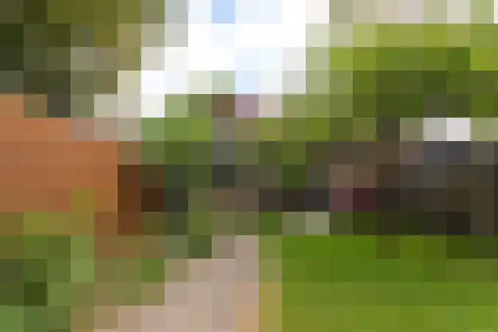 Willem de Zwijgerlaan 78 Castricum thumbnail 19