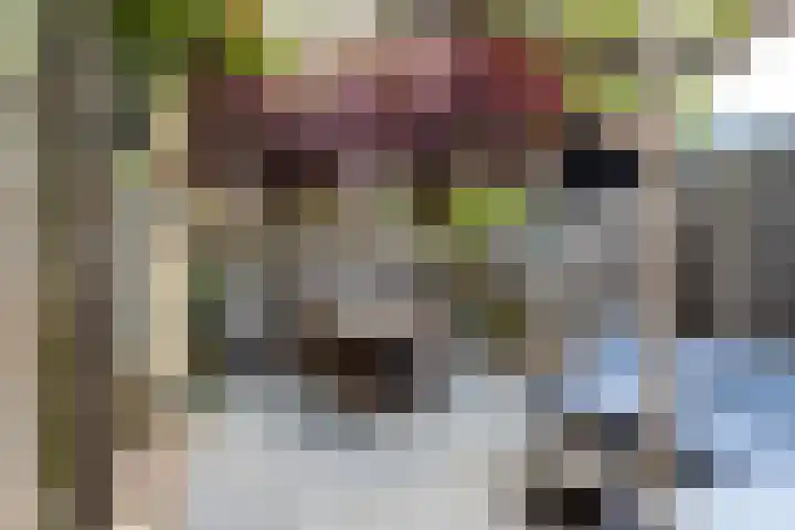 Willem de Zwijgerlaan 78 Castricum thumbnail 24