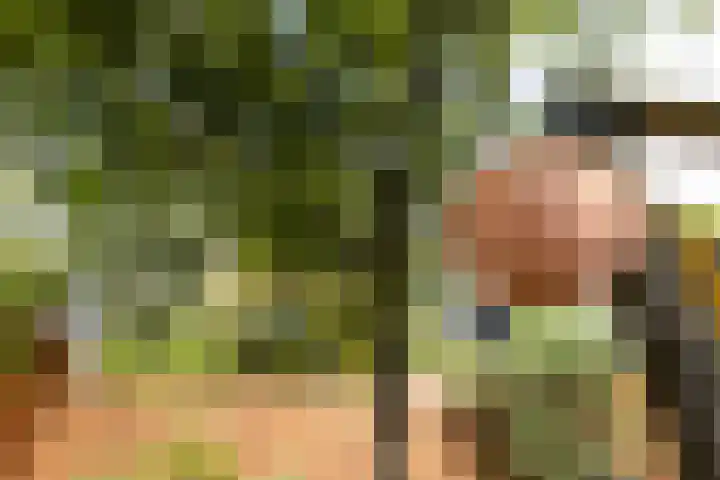 Willem de Zwijgerlaan 78 Castricum thumbnail 28